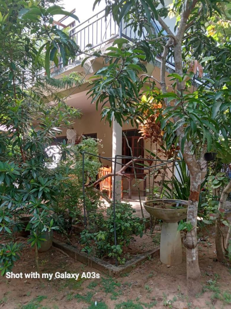 Bamboo Grove Villa Tangalle Exteriér fotografie